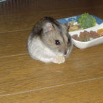 乾燥パインを食べるユウキ