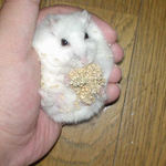 なんか、頭がめり込んでいます