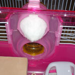 アイ、落ちそうで落ちない