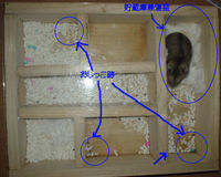 地下方巣箱の使用状況