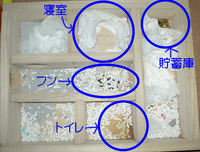 地下型巣箱の使用状況(アイ)