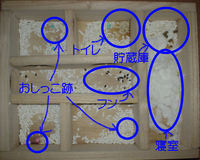 地下型巣箱の使用状況(ユウキ)