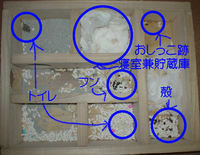 地下型巣箱の使用状況(アイ)