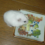 ブロッコリーに齧りつくアイ