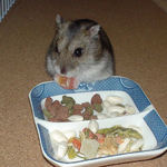 乾燥パパイヤを食べるユウキ