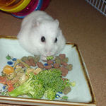 ブロッコリーを食べるアイ