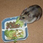 ブロッコリーにかじりつくユウキ