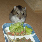 ブロッコリーに齧りつくユウキ