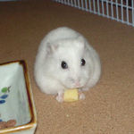 カメラ目線のアイ