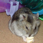 ちびっこクロワッサンを食べるユウキ