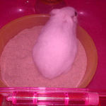 砂場で遊ぶアイ