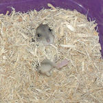 キョトンとしています