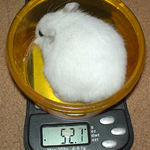 アイも少し体重が減少