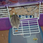 自力で帰れました