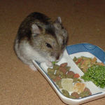 ブロッコリーを食べるユウキ