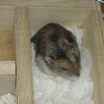 まだ眠そうなユウキ