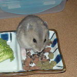 蕎麦の実の皮を剥いてます