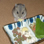 珍しくカメラ目線