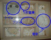 地下型巣箱の使用状況(アイ)