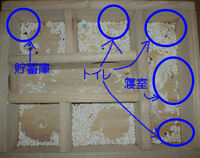 地下型巣箱の使用状況(ユウキ)