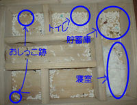 地下型巣箱の使用状況(ユウキ)