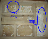 地下型巣箱の使用状況(ユウキ)