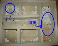 地下型巣箱の使用状況(ユウキ)