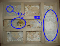 地下型巣箱の使用状況(アイ)