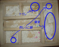 地下型巣箱の使用状況(ユウキ)