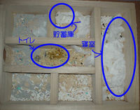 地下型巣箱の使用状況(アイ)