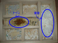 地下型巣箱の使用状況(アイ)