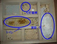 下型巣箱の使用状況(アイ)