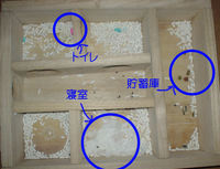 地下型巣箱の使用状況(ユウキ)