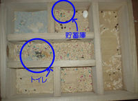 地下型巣箱の使用状況(アイ)