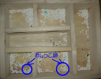 地下型巣箱の使用状況(ユウキ)