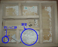 地下型巣箱の使用状況(ユウキ)