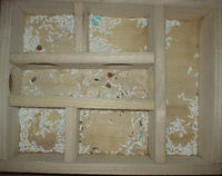 地下型巣箱の使用状況(ユウキ)