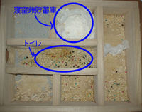 地下型巣箱の使用状況(アイ)