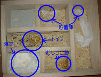 地下型巣箱の使用状況(アイ)