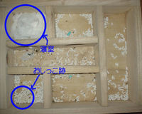 地下型巣箱の使用状況(ユウキ)