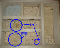 地下型巣箱の使用状況(アイ)