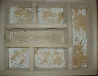 地下型巣箱の使用状況(ユウキ)