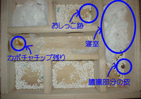 地下型巣箱の使用状況(ユウキ)