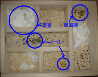 地下型巣箱の使用状況(アイ)