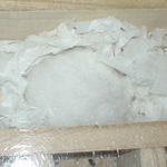 まだ、眠いようです