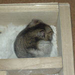 横になって寝てました