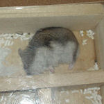 横になっているユウキ