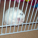 サークルカジカジ中のアイ