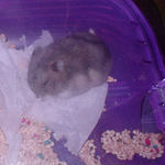 スヤスヤ眠っています