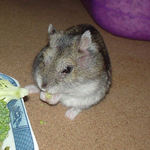 目はどうでしょうか？